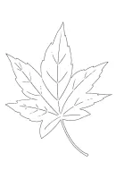 bomen kleurplaat 8